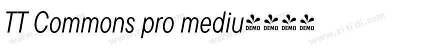 TT Commons pro mediu字体转换